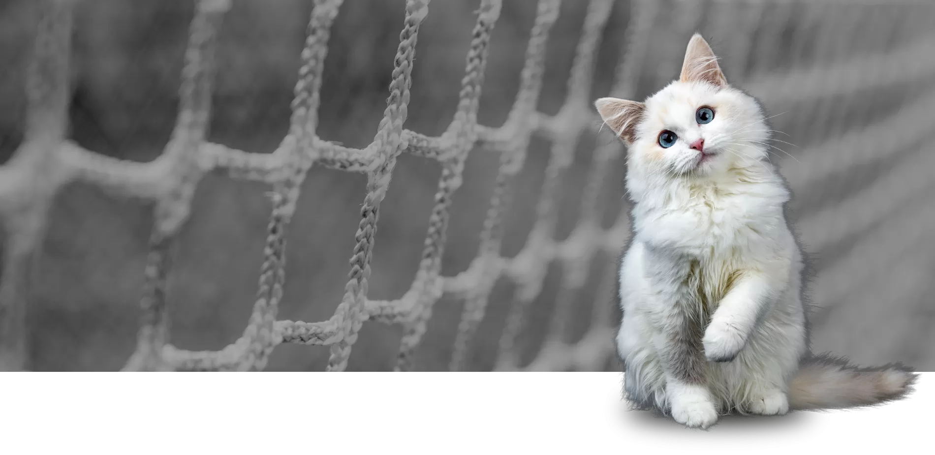 Balkon file, çocuk file, inşaat file, kedi file, merdiven boşluğu file, havuz file, halı saha file, Diyarbakır, Kayapınar, güvenli file çözümleri, estetik file ürünleri, kaliteli file malzemeleri, profesyonel file hizmetleri.